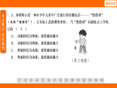 11.4 機械能及其轉(zhuǎn)化（課件）人教版物理八年級下冊