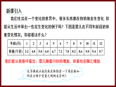 6.2 用表格表示變量之間的關(guān)系 課件 2024—2025學(xué)年北師大版七年級數(shù)學(xué)下冊