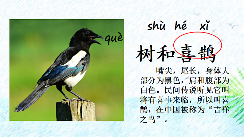 人教版（2024）一年级语文下册5树和喜鹊第1课时课件第2页