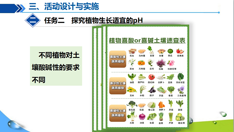 跨学科实践活动9 探究土壤酸碱性对植物生长的影响第7页