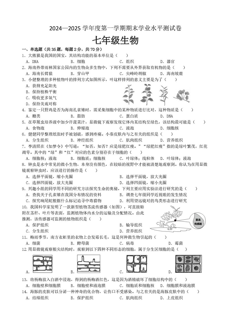 海南省五指山市2024-2025学年七年级上学期期末考试 生物试题第1页