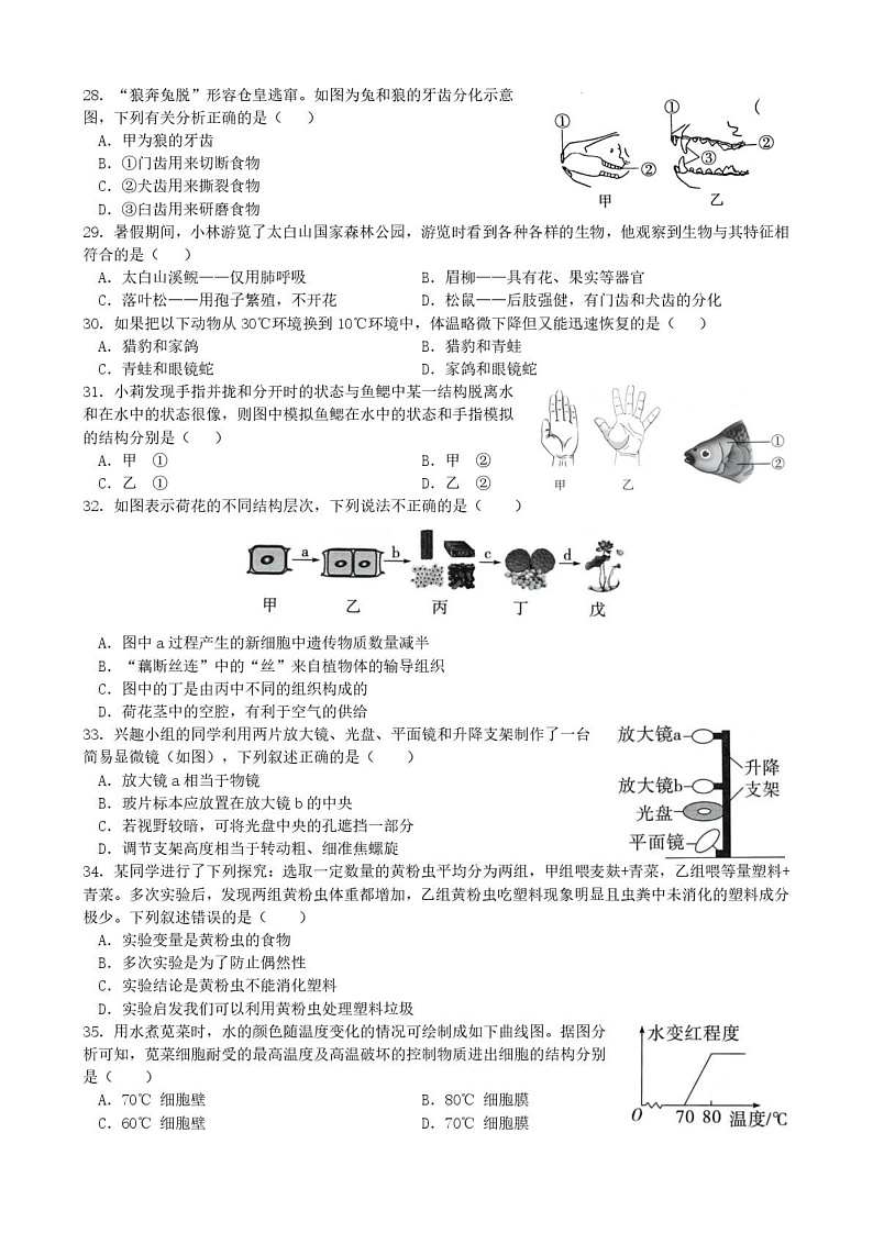 海南省五指山市2024-2025学年七年级上学期期末考试 生物试题第3页