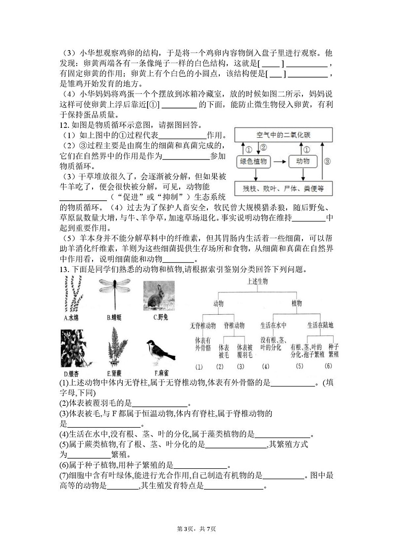 湖北省黄石市大冶市还地桥镇教联体2024-2025学年八年级上学期期末模拟考试 生物试题第3页