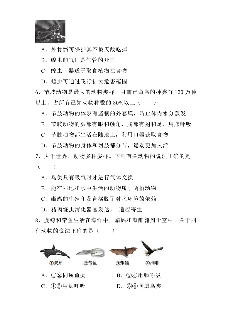 吉林省通化市梅河口市2024-2025学年八年级上学期期末 生物试题（含解析）第2页