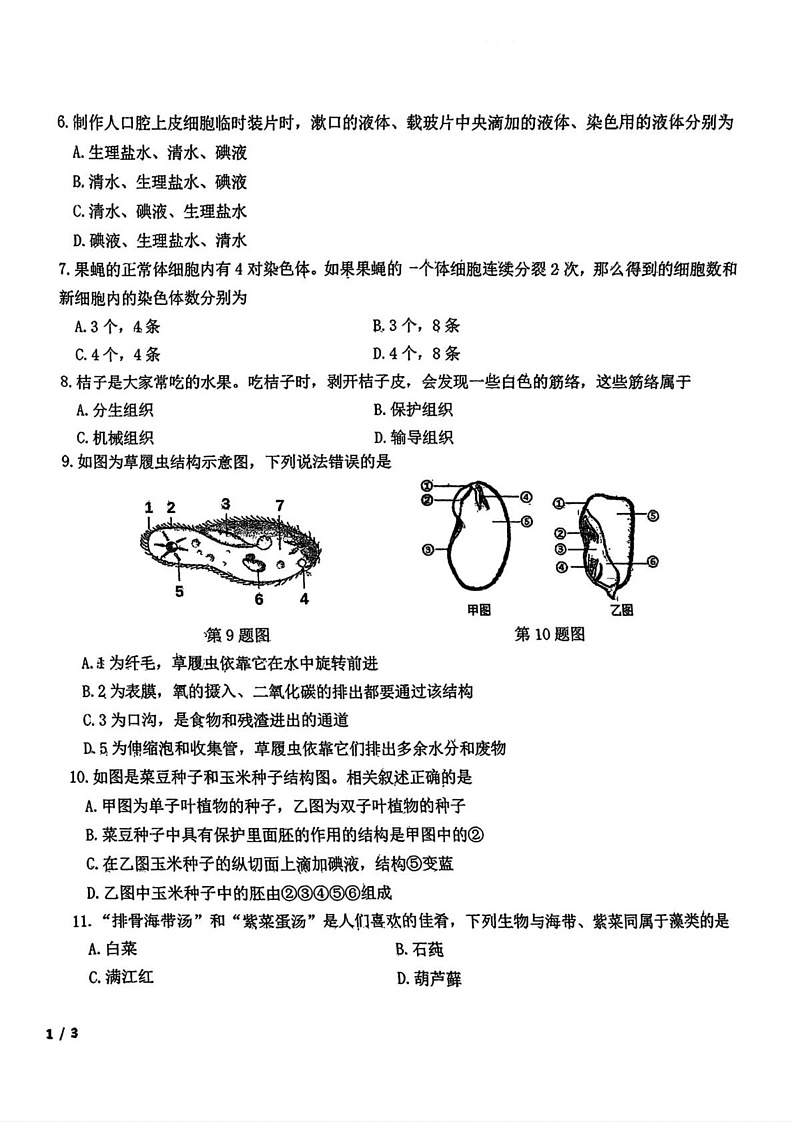 吉林省长春市东北师范大学附属中学2024-2025学年七年级上学期期末考试 生物试题第2页