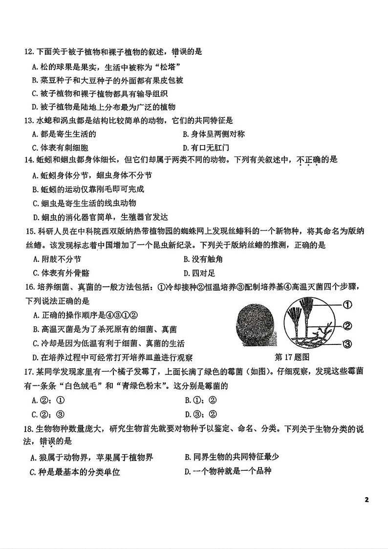 吉林省长春市东北师范大学附属中学2024-2025学年七年级上学期期末考试 生物试题第3页