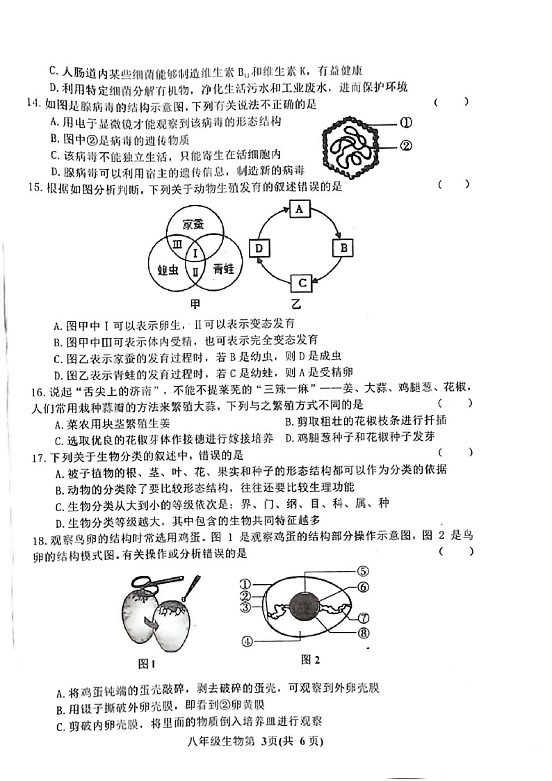 吉林省长春市公主岭市2024-2025学年八年级上学期12月期末 生物试题第3页