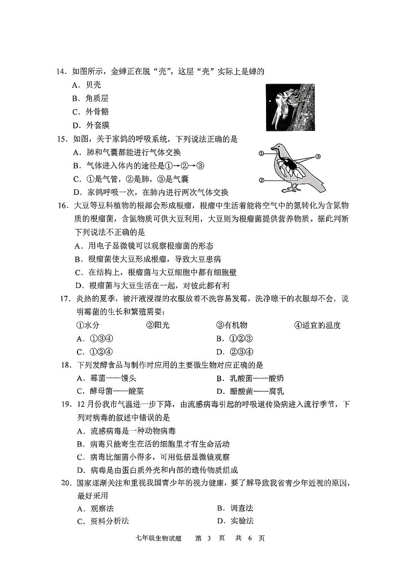 吉林省长春市九台区2024-2025学年七年级上学期期末教学质量监测 生物试题第3页