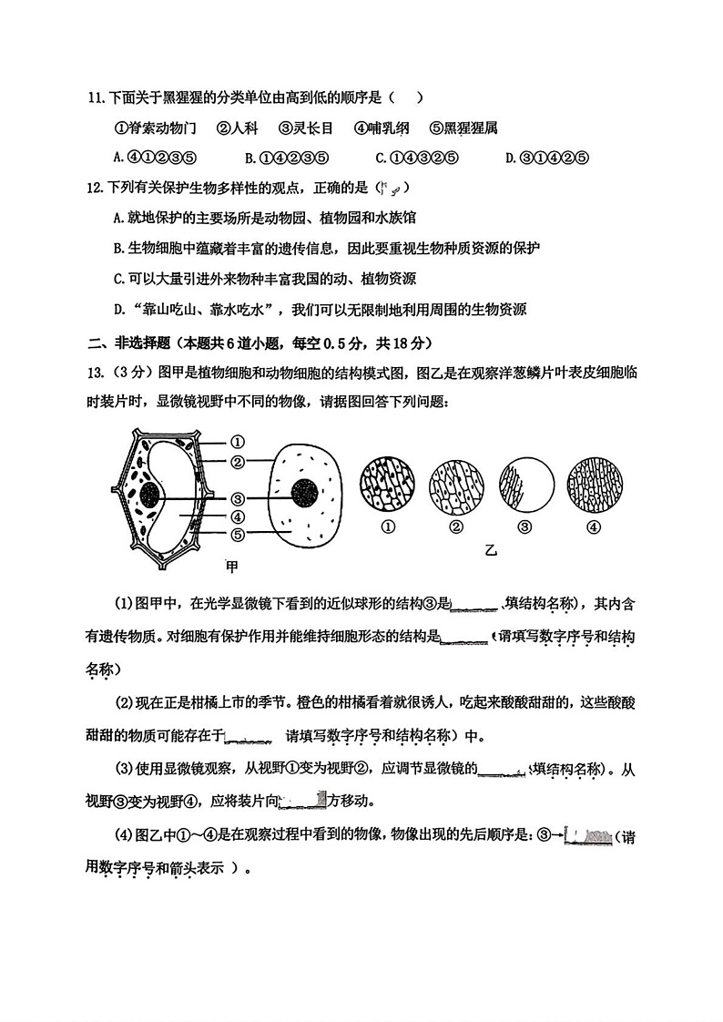辽宁省沈阳市皇姑区2024-2025学年七年级上学期期末考试 生物试题第3页