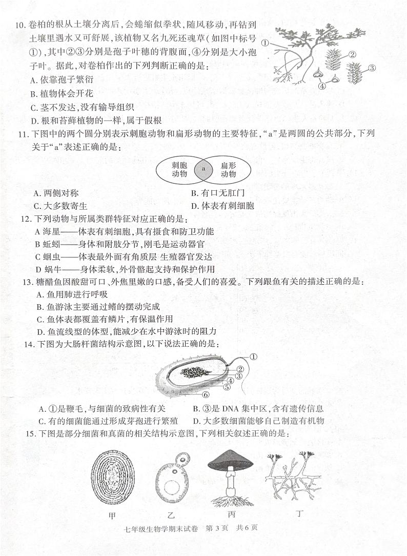 陕西省西安市长安区2024-2025学年七年级上学期 生物期末试卷第3页