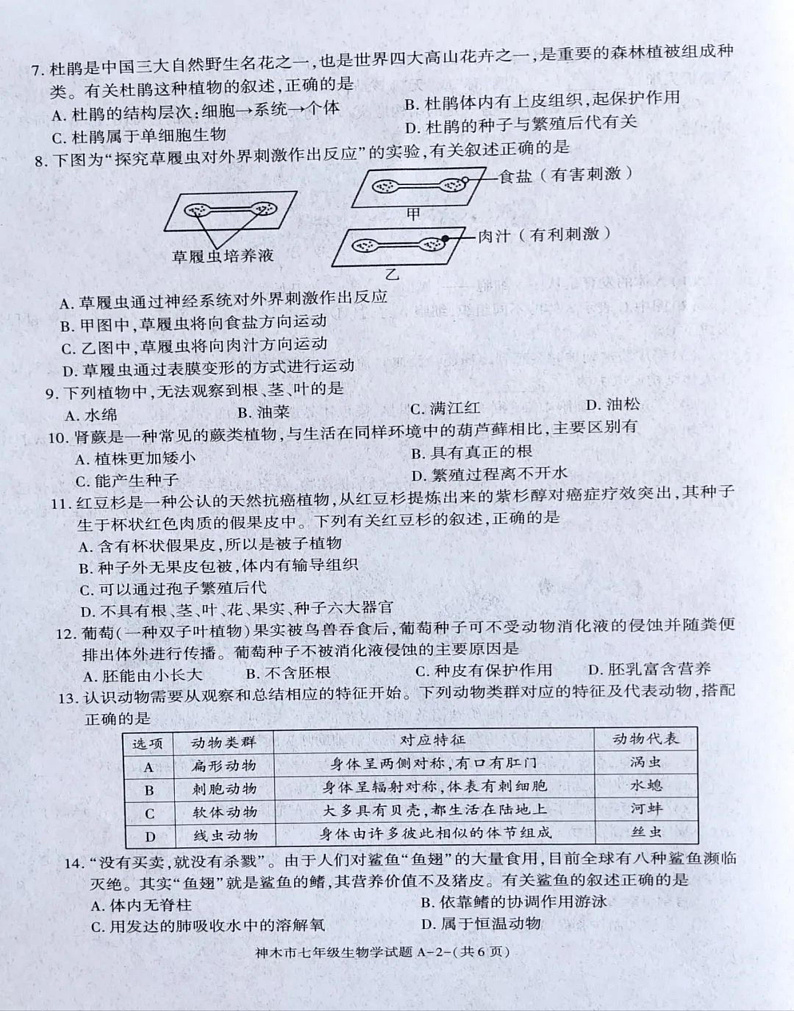陕西省榆林市神木市2024-2025学年七年级上学期期末质量检测调研 生物试题第2页