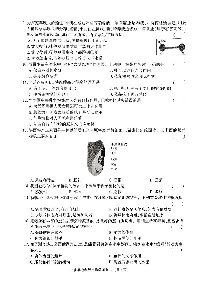 陕西省榆林市子洲县2024--2025学年七年级上学期期末素质教育调研测评 生物学试卷第2页