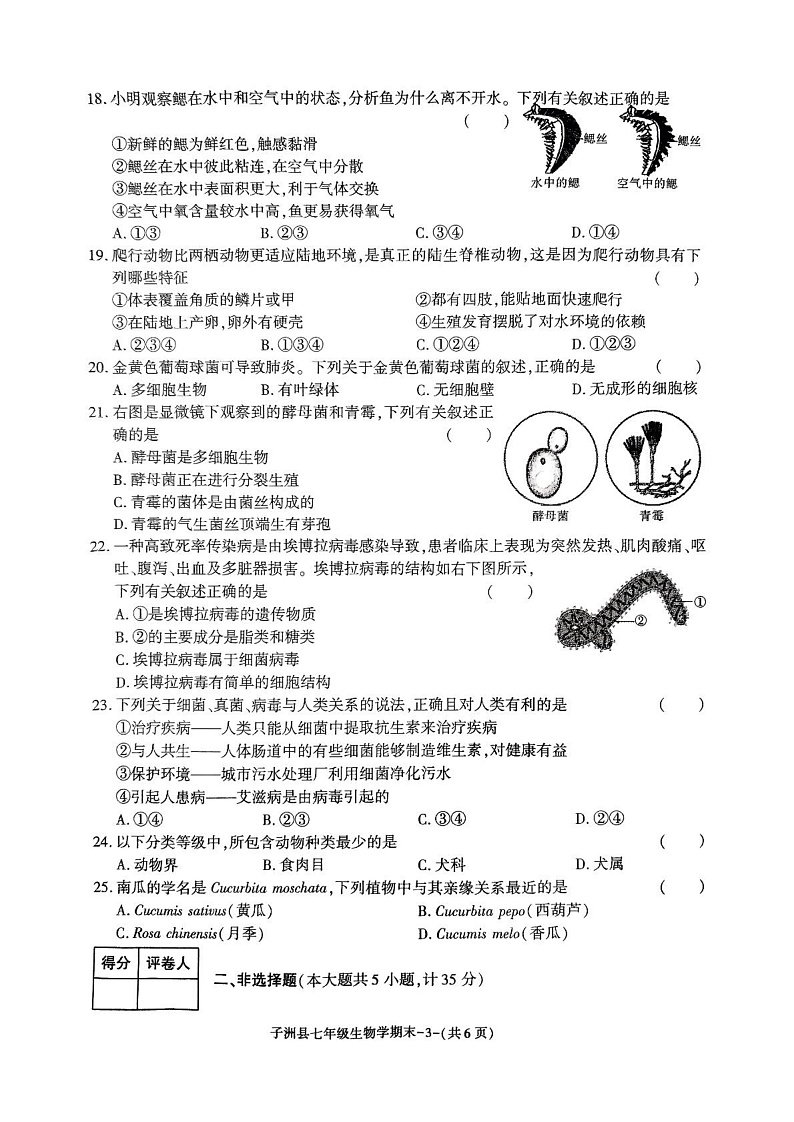 陕西省榆林市子洲县2024--2025学年七年级上学期期末素质教育调研测评 生物学试卷第3页