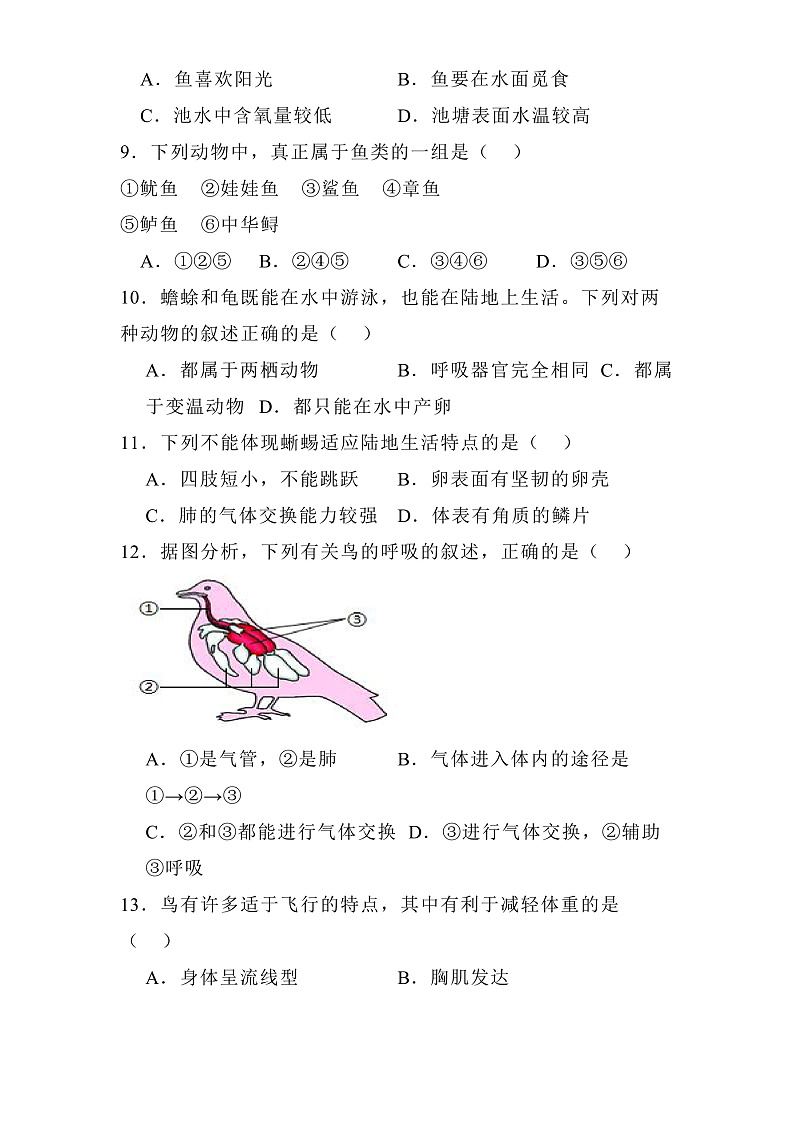 天津市南开区2024-2025学年八年级上学期期末 生物试题（含解析）第2页