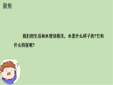 5.觀察一瓶水課件教案練習(xí)25春新教材教科版一年級下冊 2