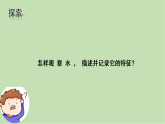 5.觀察一瓶水課件教案練習(xí)25春新教材教科版一年級下冊 2