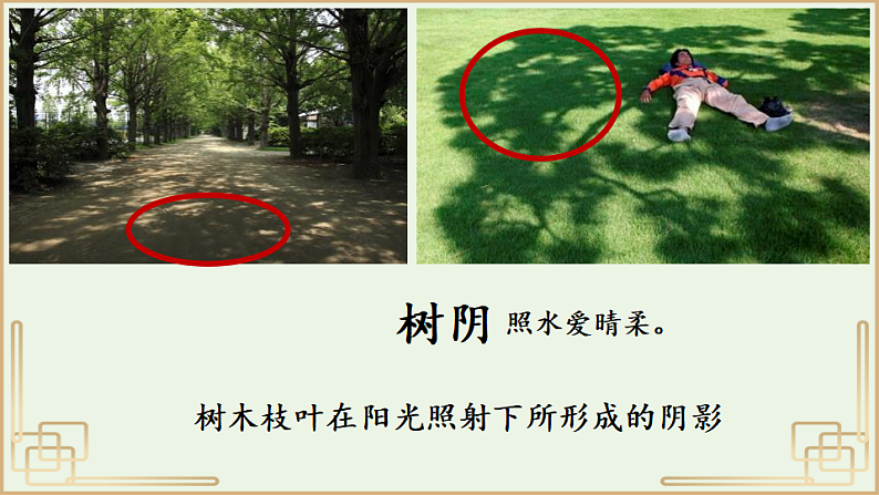 人教版（2024）一年级语文下册10 古诗二首--小池ppt课件第7页