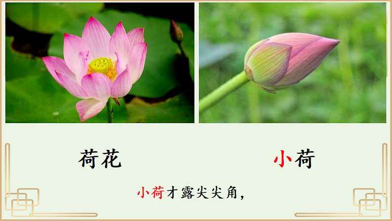 人教版（2024）一年级语文下册10 古诗二首--小池ppt课件第8页