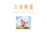 人教版（2024）一年級(jí)語(yǔ)文下冊(cè)10 古詩(shī)二首--小池課件ppt