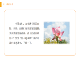 人教版（2024）一年級(jí)語(yǔ)文下冊(cè)10 古詩(shī)二首--小池課件ppt