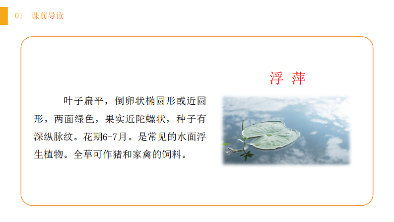 人教版（2024）一年级语文下册10 古诗二首--小池课件ppt第4页