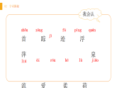 人教版（2024）一年級(jí)語(yǔ)文下冊(cè)10 古詩(shī)二首--小池課件ppt