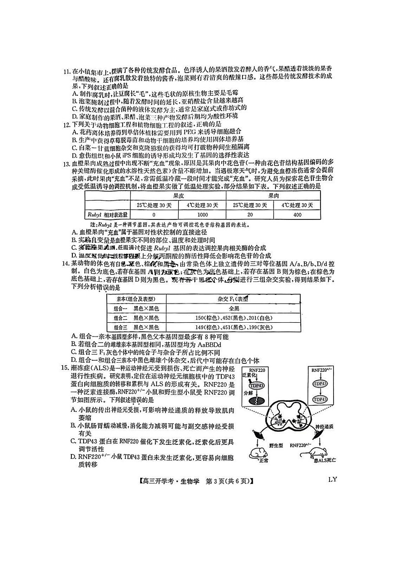 2025年九师联盟高三下学期2月开学考-生物试卷+答案第3页