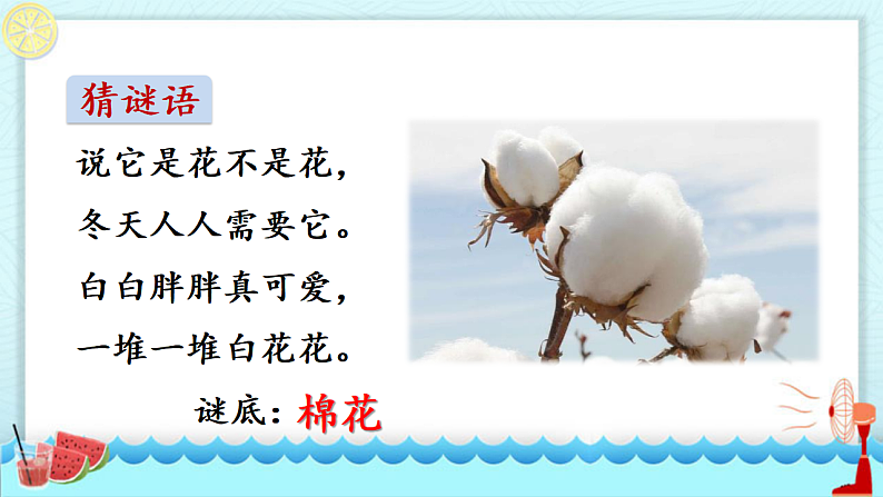 人教版（2024）一年级语文下册18棉花姑娘课件第2页