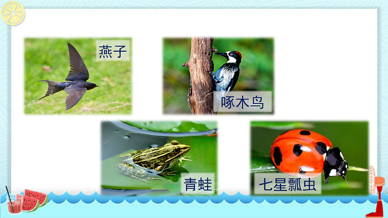 人教版（2024）一年级语文下册18棉花姑娘课件第5页