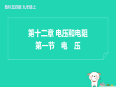 2024九年级物理上册第十二章电压和电阻12.1电压习题课件鲁科版五四制