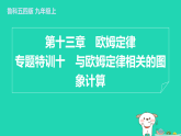 2024九年級物理上冊第十三章歐姆定律專題特訓(xùn)十與歐姆定律相關(guān)的圖象計算習(xí)題課件魯科版五四制