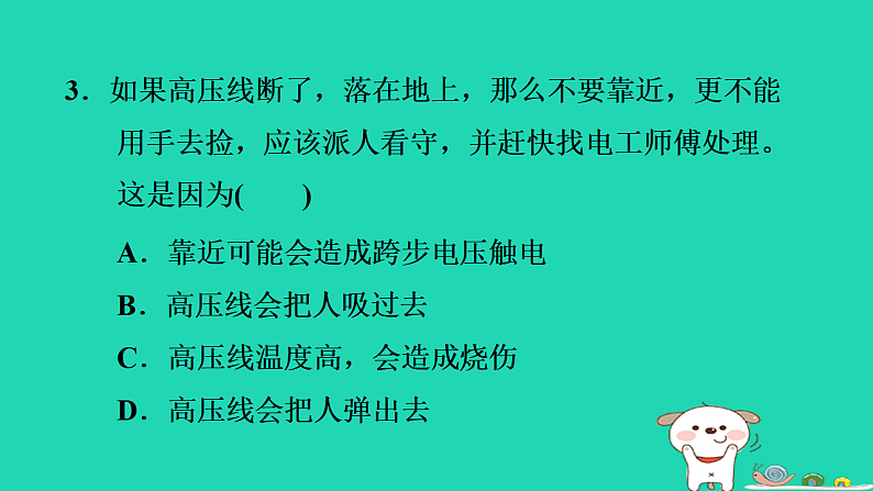 2024九年级物理上册第十五章安全用电15.3防止触电习题课件鲁科版五四制第6页