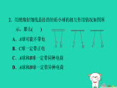 2024九年级物理上册第十一章电流和电路章末练习习题课件鲁科版五四制