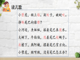 人教版（2024）一年级语文下册20小壁虎借尾巴第2课时课件