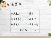 人教版（2024）一年级语文下册20小壁虎借尾巴第2课时课件