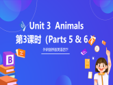 外研剑桥版英语四下 Unit 3《Animals》第3课时（Parts 5 & 6 ）课件+素材