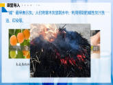 【人教版】九下化學(xué) 10.2 常見的酸和堿（第3課時）（課件+練習(xí)）