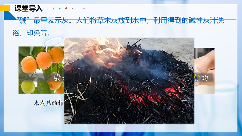 10.2 常见的酸和碱（第3课时）（同步课件） 第4页