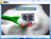 【人教版】九下化學 10.3 常見的鹽（第1課時）（課件+練習）