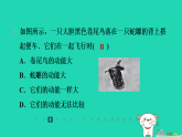 2024九年級(jí)物理全冊(cè)第十二章機(jī)械能和內(nèi)能1動(dòng)能勢(shì)能機(jī)械能第1課時(shí)動(dòng)能勢(shì)能習(xí)題課件新版蘇科版