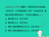 2024九年级物理全册第十一章简单机械和功1杠杆第3课时杠杆平衡条件的应用习题课件新版苏科版