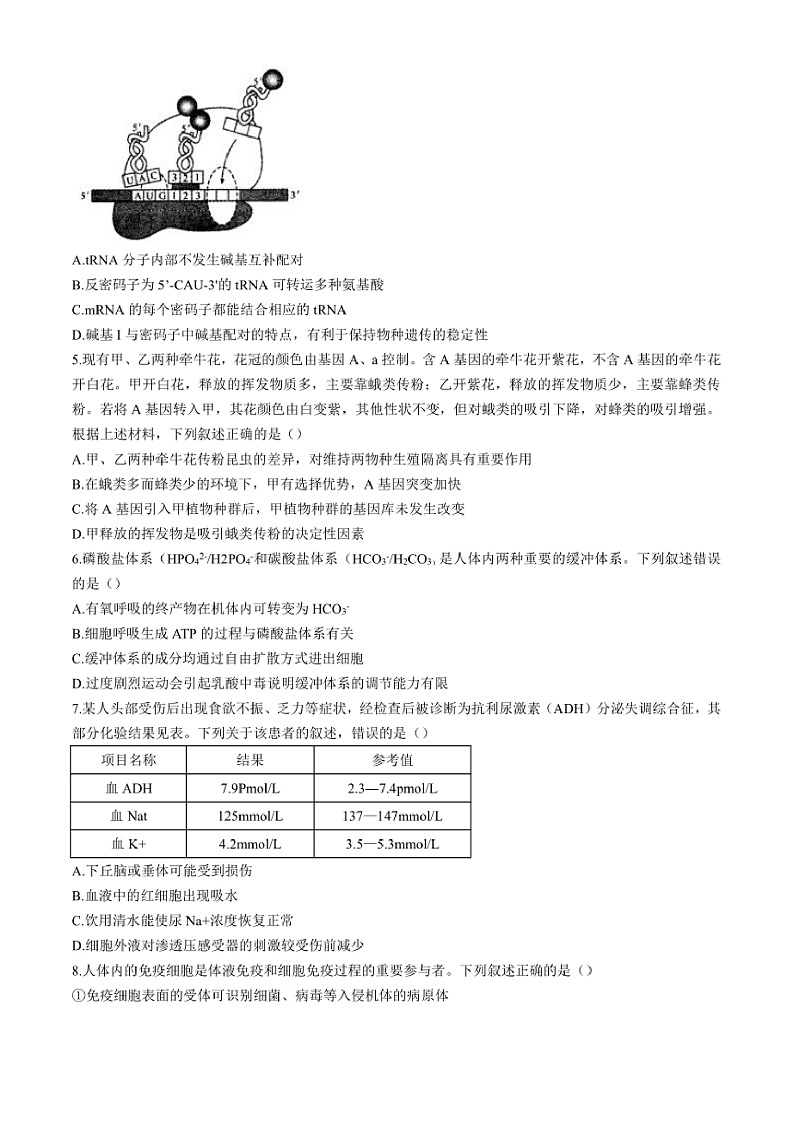2024～2025学年河北省石家庄市辛集市高三上1月期末生物试卷(含答案)第2页