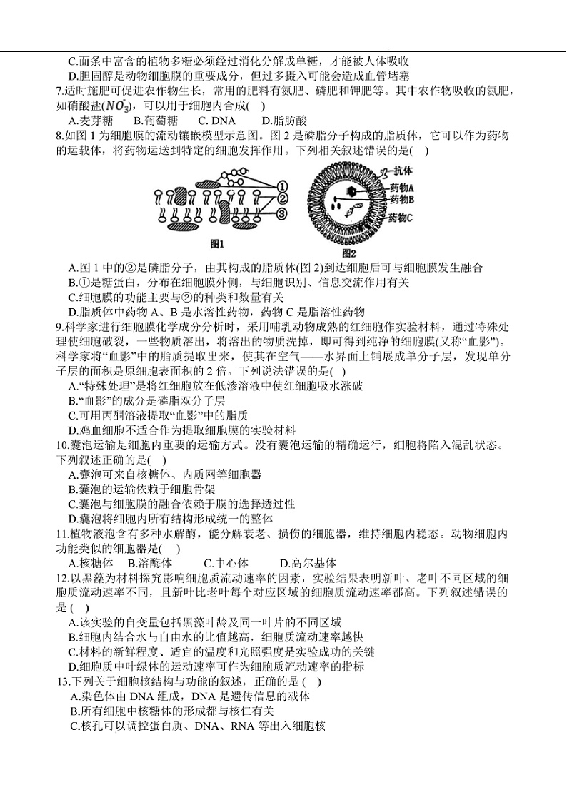 2024～2025学年陕西省西安市铁一中学高一上期末生物试卷(含答案)第2页