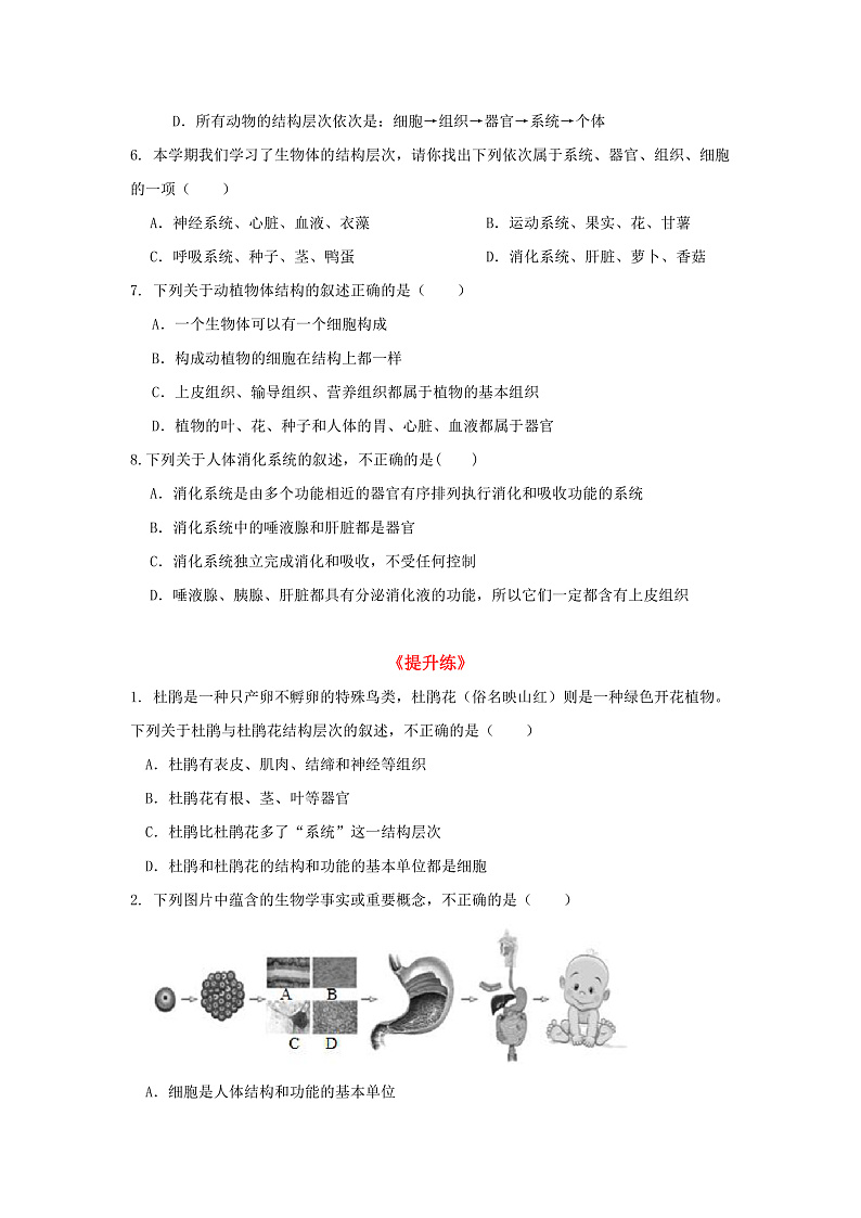 1.1《生物体的结构层次》第3课时 分层作业--原卷版 七下新浙教版（2024）初中科学 第一章生命的结构与生殖第2页