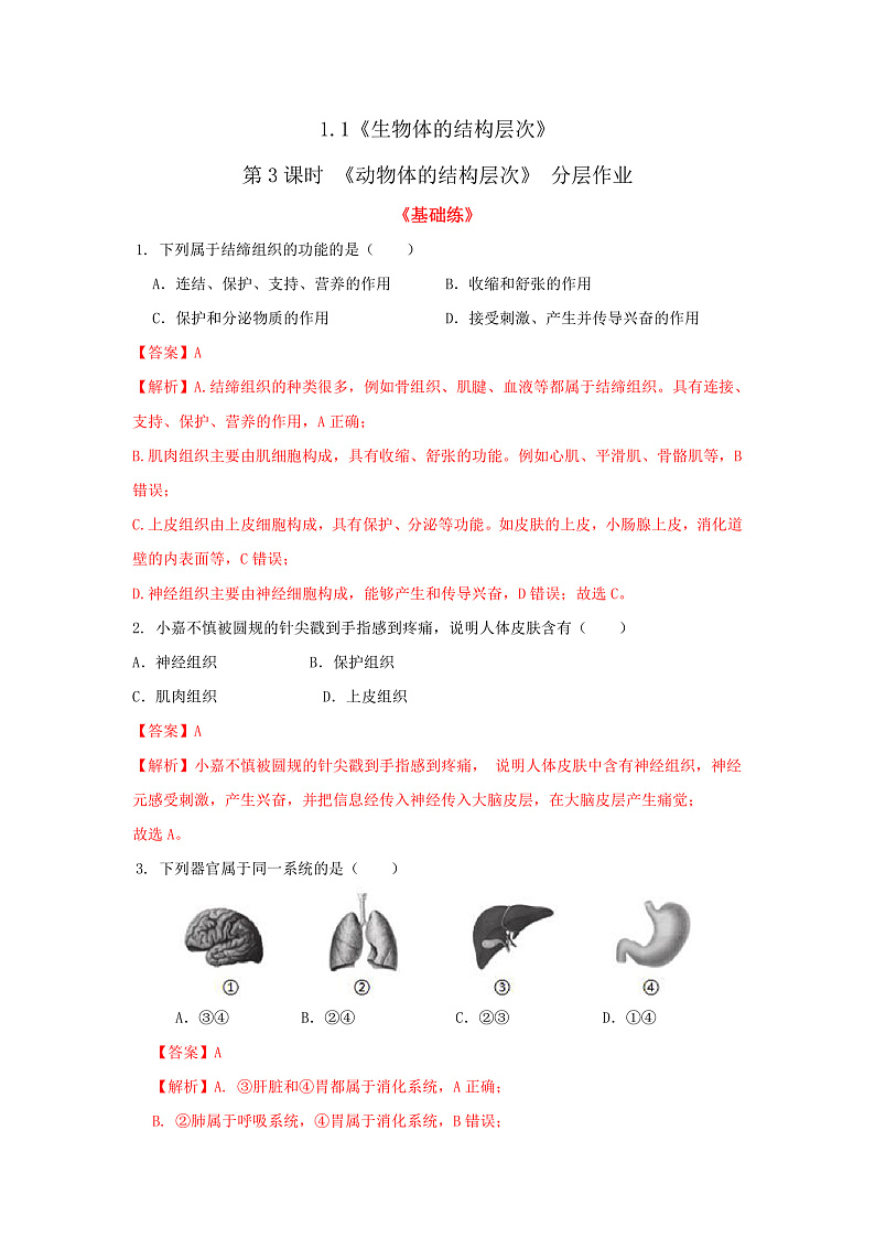1.1《生物体的结构层次》第3课时 分层作业--解析版 七下新浙教版（2024）初中科学 第一章生命的结构与生殖第1页