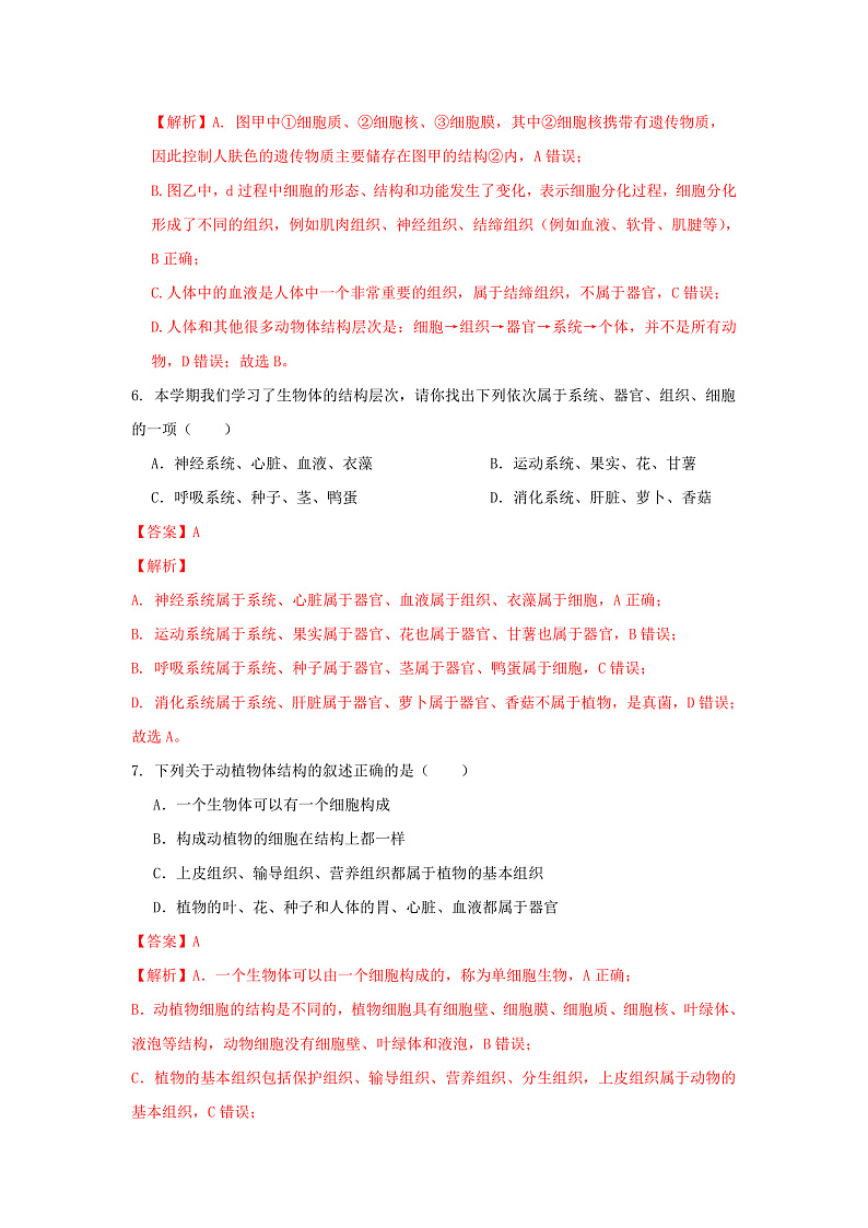 1.1《生物体的结构层次》第3课时 分层作业--解析版 七下新浙教版（2024）初中科学 第一章生命的结构与生殖第3页