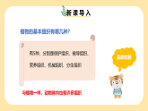 新浙教版（2024）七下科學(xué)1.1《生物體的結(jié)構(gòu)層次》課時3  課件