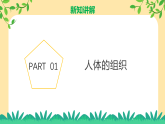 新浙教版（2024）七下科學(xué)1.1《生物體的結(jié)構(gòu)層次》課時3  課件