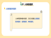 新浙教版（2024）七下科學(xué)1.1《生物體的結(jié)構(gòu)層次》課時3  課件