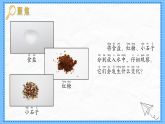 教科版科學(xué)一年級下冊1.7《它們?nèi)ツ睦锪恕氛n件